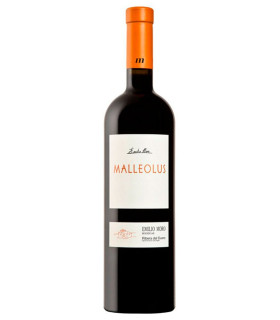 Imagen principal de Malleolus