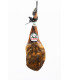 Lazo Iberian 100% shoulder acorn