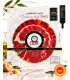Jambon bellota 100% ibérique A.O.C. Jabugo tranché 100 gr