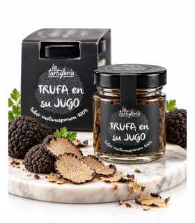 Trufa melanosporum