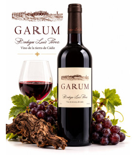 Imagen principal de Garum