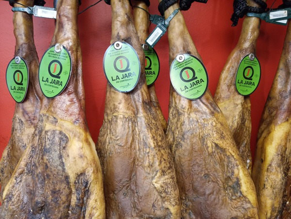 Selección de jamones de cebo de campo en bodega de El Palacio del Jamón